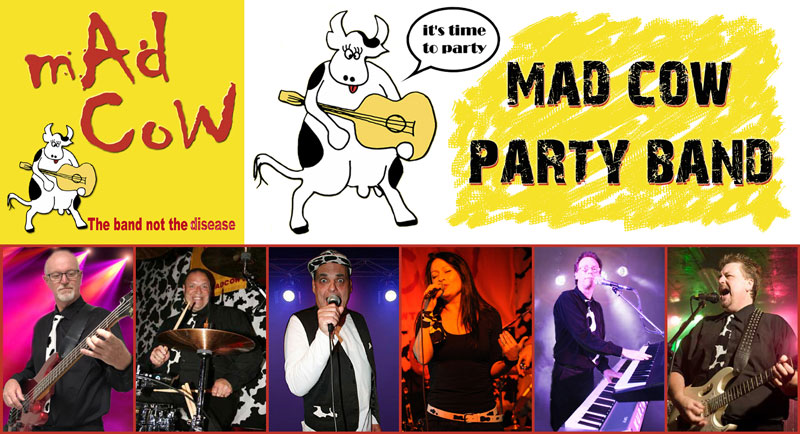 mad cow
