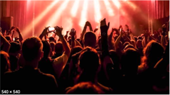 Concert crowd cheering wildly.